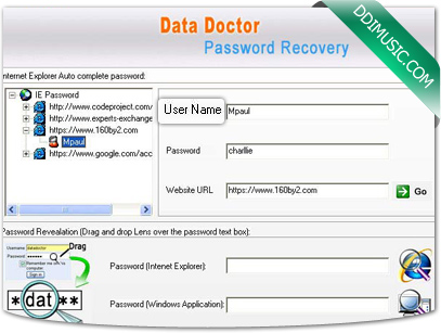 Internet Explorer Password Recovery