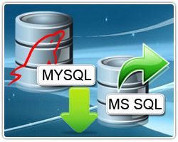 MySQL to MS SQL Database Converter