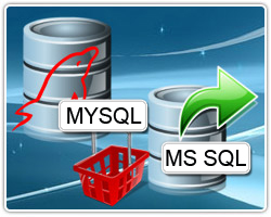 MySQL to MS SQL Database Converter